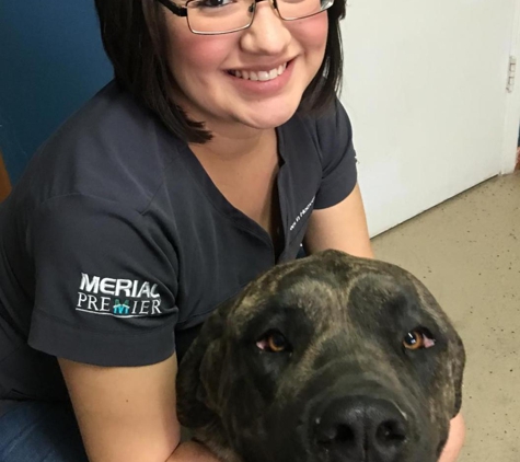 Mesa Veterinary Clinic - El Paso, TX