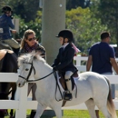 Equines & Equestrians, Inc. - Horse Training