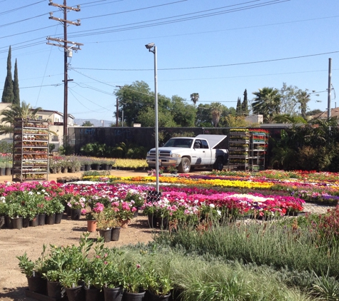 Vineland Nursery - North Hollywood, CA