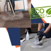 Carpet Cleaning Services of League City gallery