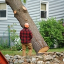 Elite Tree Solutions - Tree Service