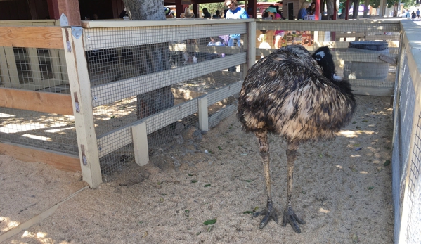 Zoomars Petting Zoo - San Juan Capistrano, CA