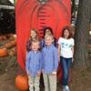 Uncle Bob's Pumpkin Patch gallery