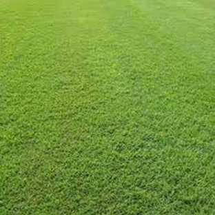 Bundaberg Turf Supplies - Meadowvale, QLD