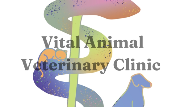 Vital Animal Veterinary Clinic - Sioux Falls, SD