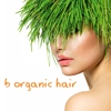 B Organic Hair gallery