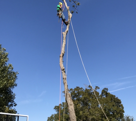 KDT Tree Service - Fern Park, FL