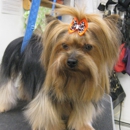 Applause For Pets - Pet Grooming