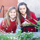 St Vincent De Paul Elementary School - Schools