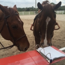 Lazy S-n-K Ranch - Horse Training
