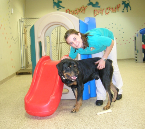 Best Friends Pet Care - Willow Grove, PA