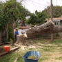 CHICO TREE SERVICE