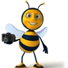Bee Positive Photography gallery