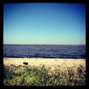 Cypremort Point State Park - Parks