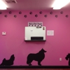 Rub-A-Dub Doggie Dog Grooming gallery