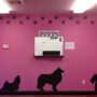 Rub-A-Dub Doggie Dog Grooming