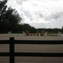 Staffordshire Equestrian Center Inc - Horse Training