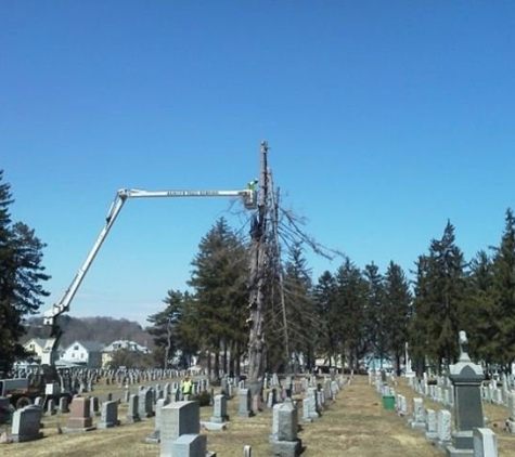 Hunter Tree Service - Holyoke, MA