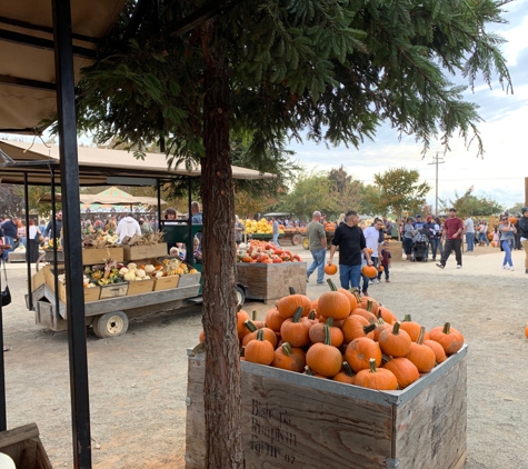 Bishop's Pumpkin Farm - Wheatland, CA