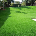 Purchase Green Artificial Grass- Concord