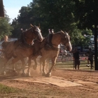 Chester Fair