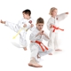 Macomb Martial Arts