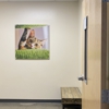 Vetco Total Care Animal Hospital gallery