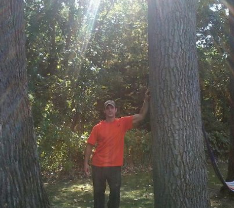 Top Flight Tree Removal LLC - Saginaw, MI