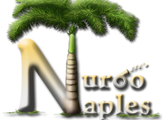 Naples Turbo LLC - Naples, FL