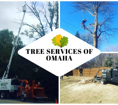Tree Services of Omaha - Omaha, NE