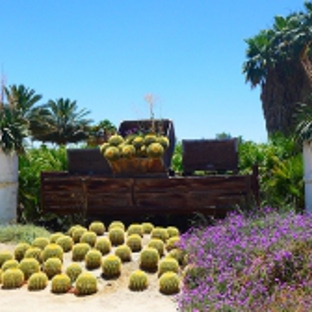 Roadrunner Tree Farm & Casa Del Zorro Nursery - Borrego Springs, CA