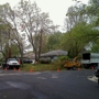 RG Tree Service