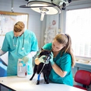 PETCARE Animal Hospital - Pet Services