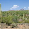 Discover Marana Visitor Center gallery