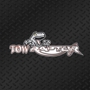 Towraptor Inc