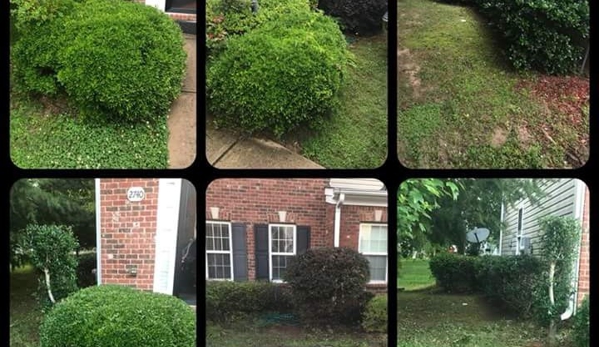 Bleak World Lawn Care and Treatment Services - Atlanta, GA