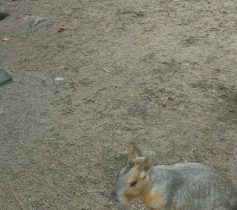 Waccatee Zoo - Myrtle Beach, SC