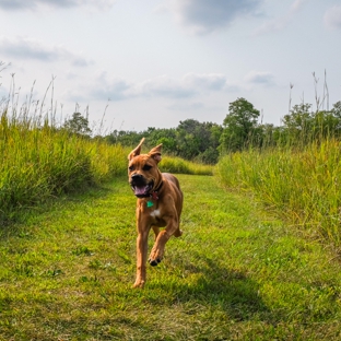 Quality Canines By Kim - Crystal Lake, IL