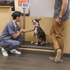 Banfield Pet Hospital