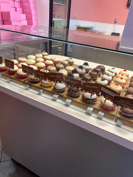 Carousel Gallery #51