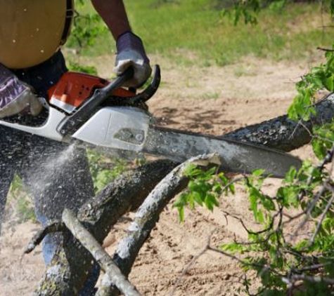 Joles Tree Service - Baton Rouge, LA