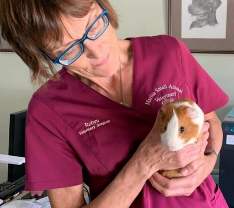 Marius Small Animal Veterinary Clinic - Tamworth, NSW