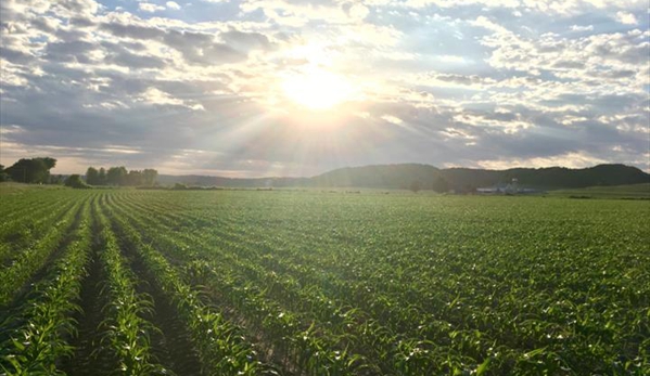 Black Sand Granary - Land Management - Prairie du Chien, WI