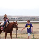 Go West Stables - Horse Training