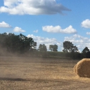 3rd Day Hay - Hay