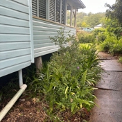 Gallery Image Number 4