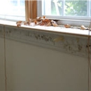 SC Mold Removal - Mold Remediation