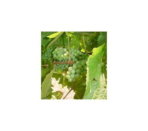 Ylad Living Soils - Barwang, NSW. Fertilizers for Fruit Trees