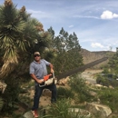 Russell's Artistry in Trees - Tree Service