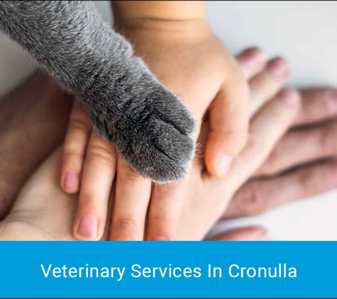 Cronulla Veterinary Clinic - Cronulla, NSW. Veterinary Services In Cronulla